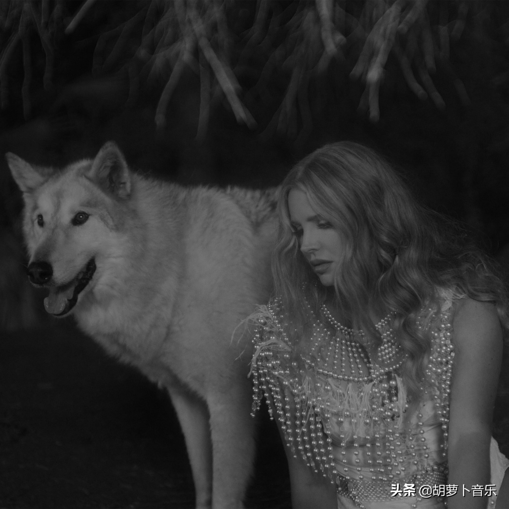 2020年格莱美打雷姐,willow首秀