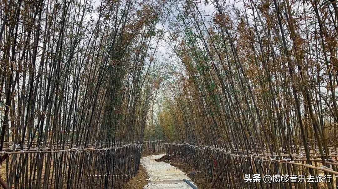 彭山竹韵廊公园,彭山竹韵廊在什么地方