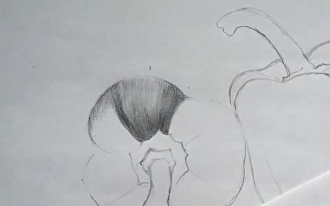 素描水果或蔬菜,素描蔬菜和水果怎么画出质感