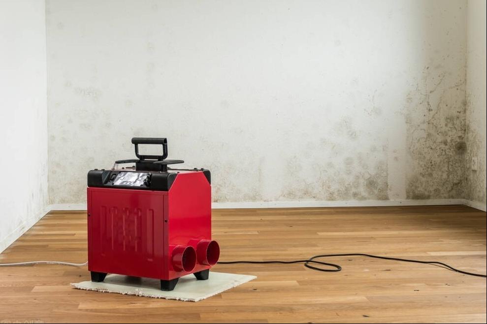 简述除湿机运行原理,排湿机原理