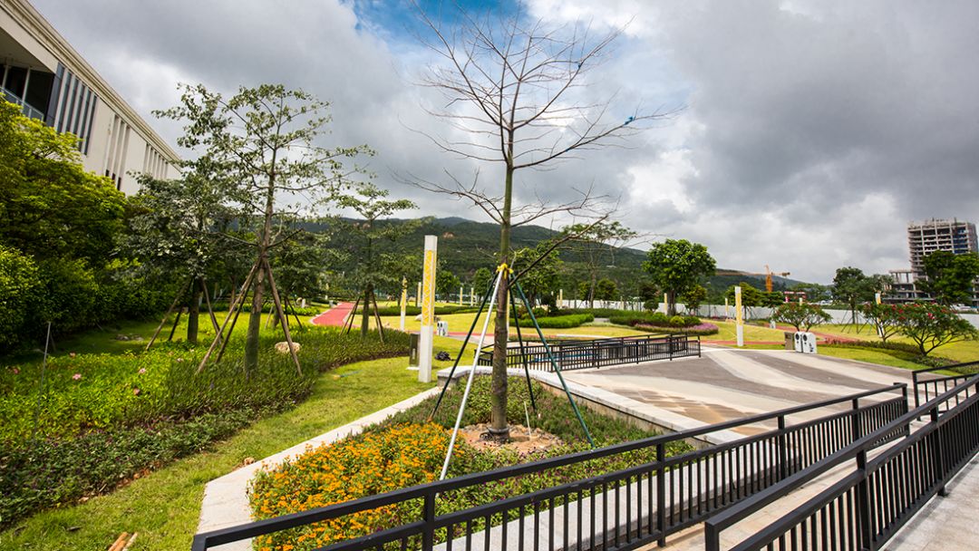 珠海新公园海滨公园,全市首个珠海这个新公园惊艳亮相