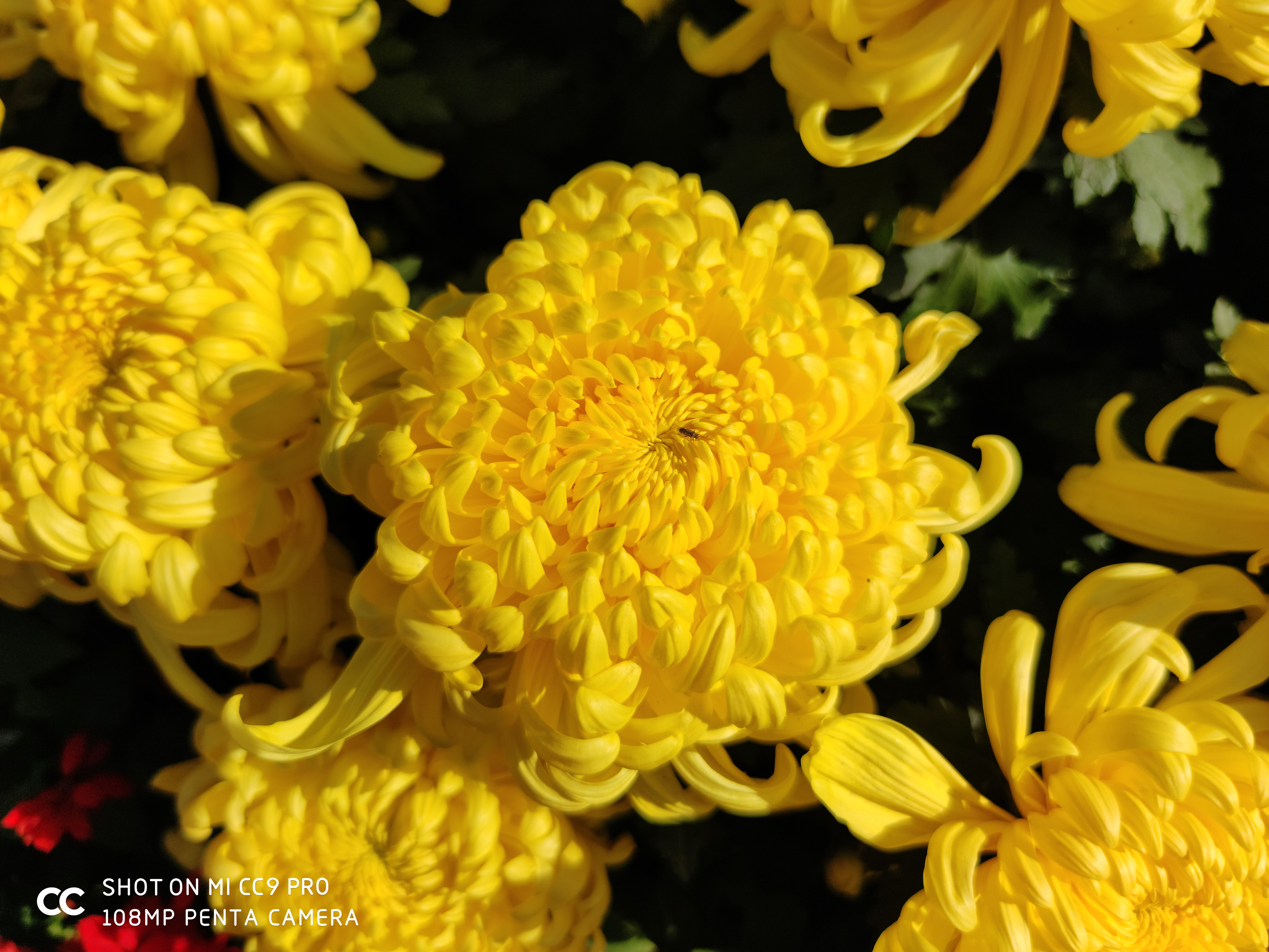 你进来，我给你好好讲讲1亿像素