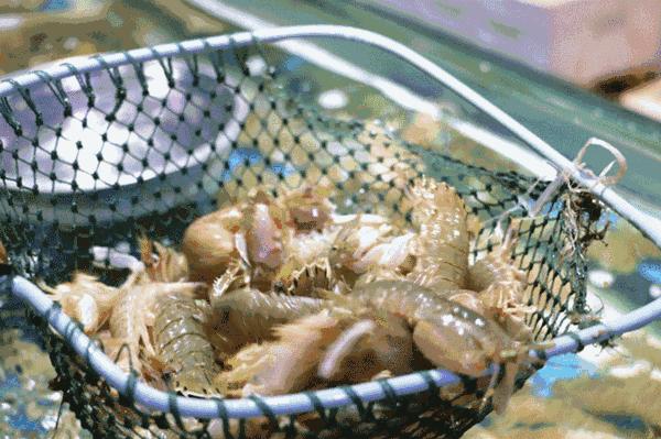 海南最大的渔港码头,在海南岛最霸气的渔港码头