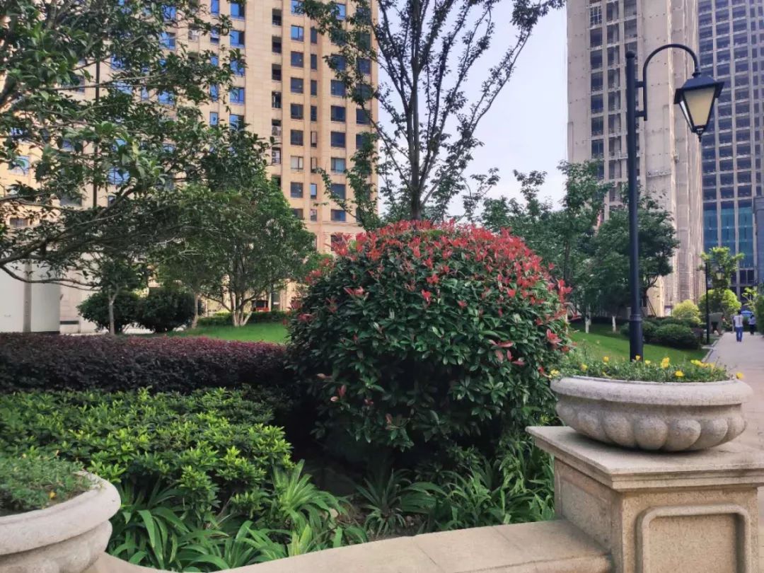 归来仍是少年古玩市场,归来仍是少年季羡林