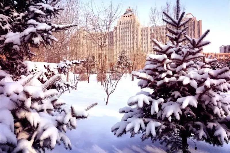 哈尔滨广厦学院蜜雪冰城,北国风光哈尔滨
