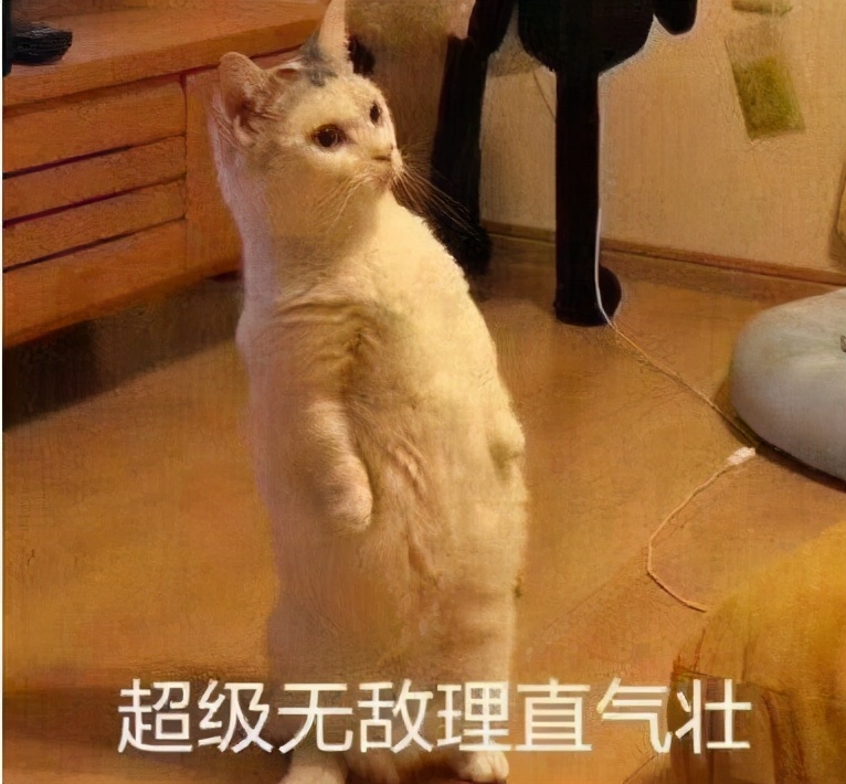 民法典婚姻实施了吗,民法典规定哪几种婚姻可以撤销