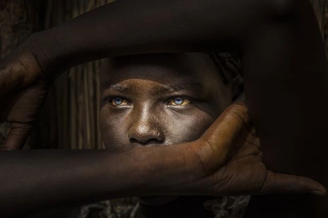 奥地利特伦伯超级摄影巡回展,奥地利超级摄影巡回展获奖作品