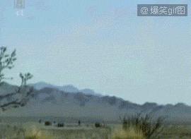 这才是*器武**的真实威力，比电视剧演的更惨烈