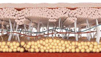 美容仪,可以对抗岁月痕迹?