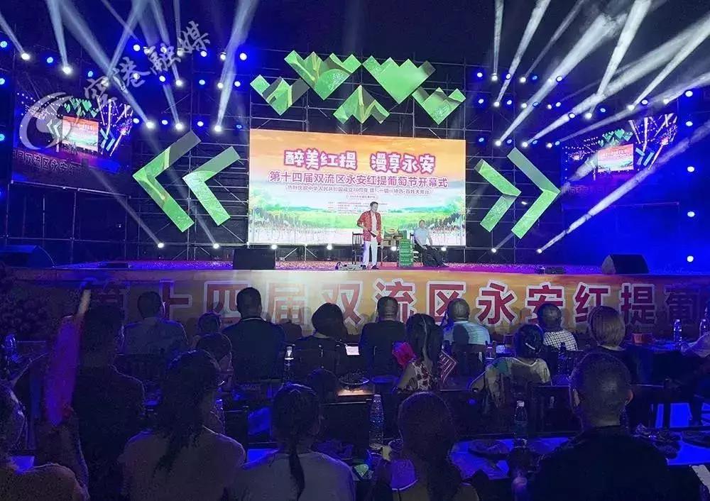 初夏时节果飘香采摘尝鲜正当时,红提采摘园