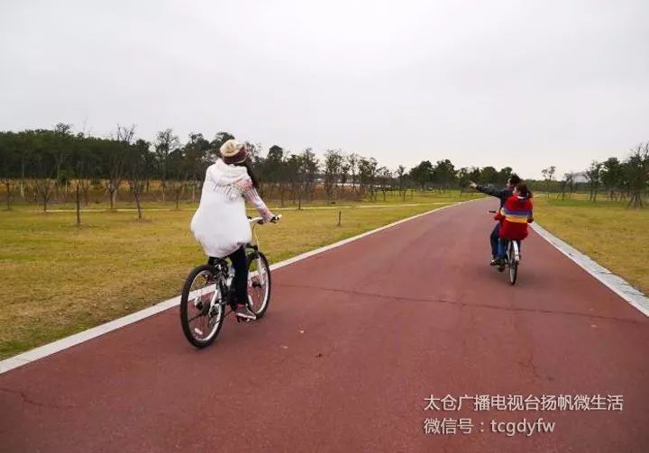 太仓踏青地方在哪里,太仓踏春旅游攻略