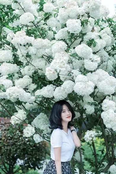 双流空港秘密花园,双流不要门票的公园