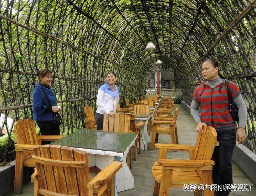 想回农村创业做什么生意好,想回乡下创业做什么好