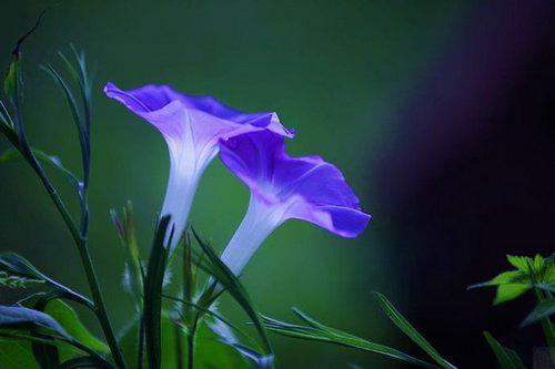 朋友圈励志文案高级感干净阳光,充满智慧让人深思的朋友圈文案