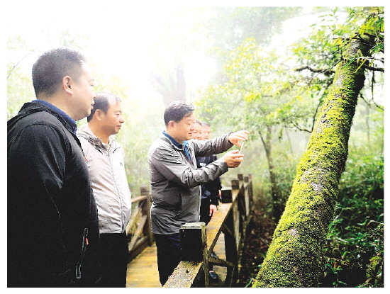 桂林生态文明建设视频素材,桂林生态保护