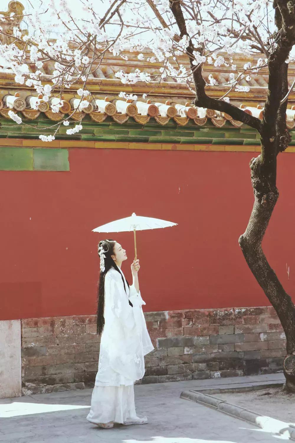 摄影点评人像风景,摄影单反相机点评