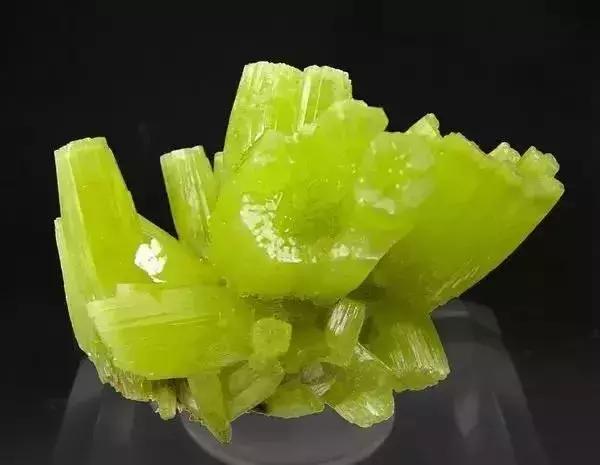 世界上令自己眸生情，见到后再也不爱别人的51个丽人