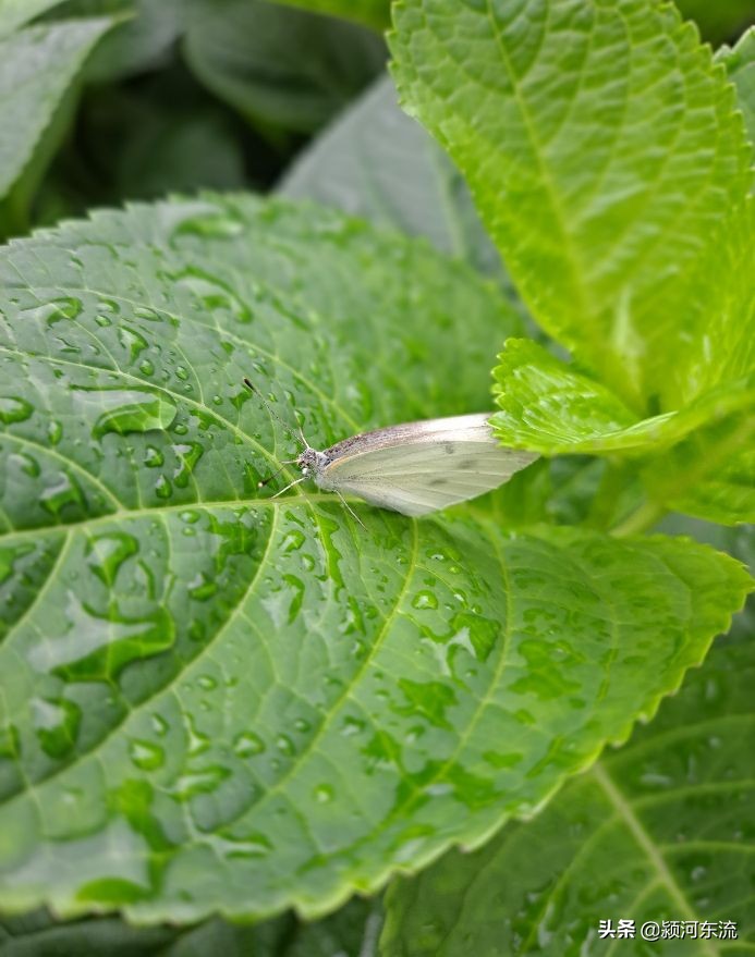 脸皮厚的挣大钱,挣大钱必须要心狠