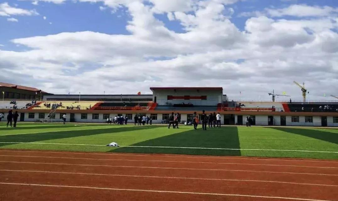 天津新私立中学,天津东丽民办中学