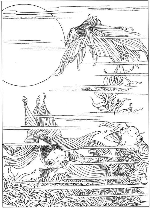 简单易画的工笔画线稿,各种鱼类工笔画图片