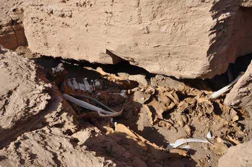 为什么罗布泊的水一夜之间干涸了,楼兰古城消失和罗布泊干涸的原因