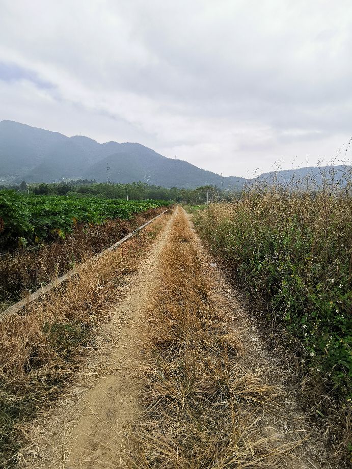 小孩半夜总是尿湿裤子一点点,孩子半夜尿床了床上湿了怎么办