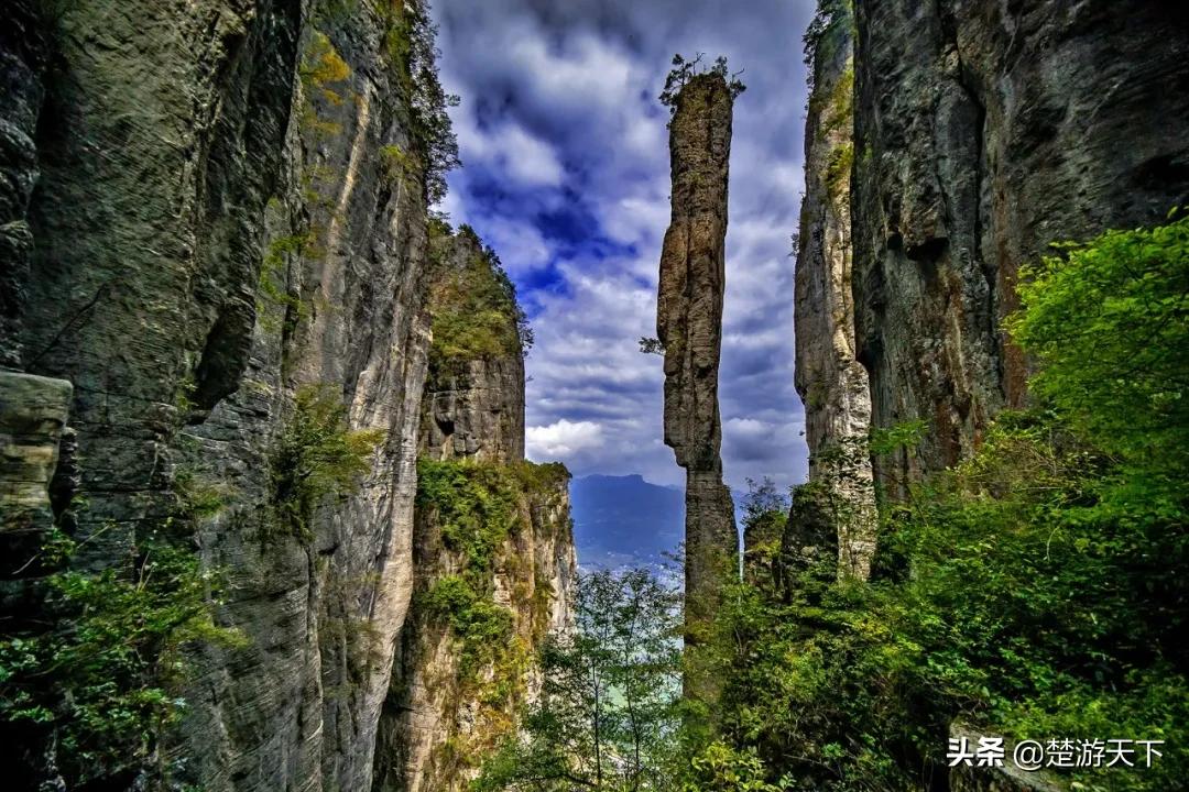 湖北景点应届毕业生免费有哪些,应届毕业生可以免费去哪些景区