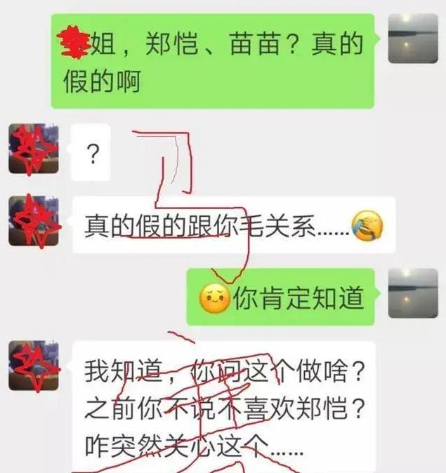 郑恺绯闻事件是真的吗,郑恺和郑恺苗苗