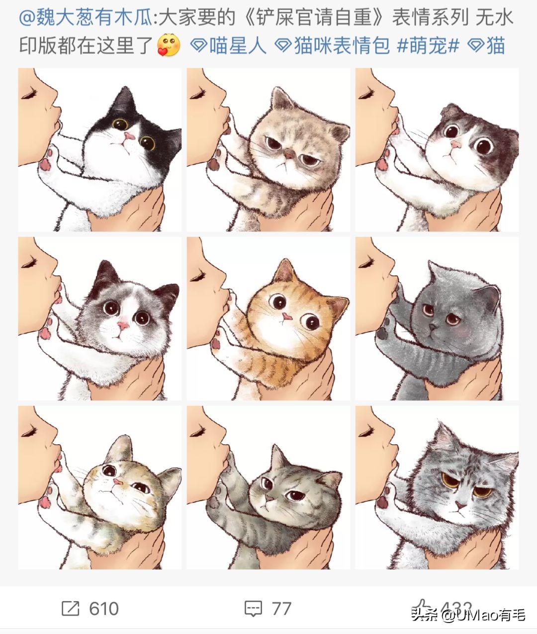 铲屎官别怕猫咪来保护你,猫咪对铲屎官的占有欲