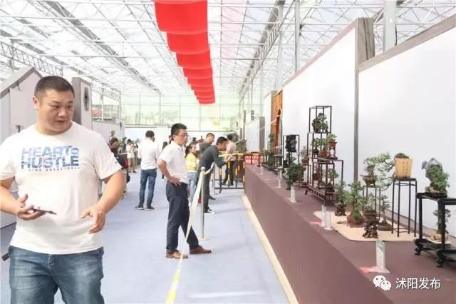 沭阳庆国庆迎中秋,沭阳迎国庆