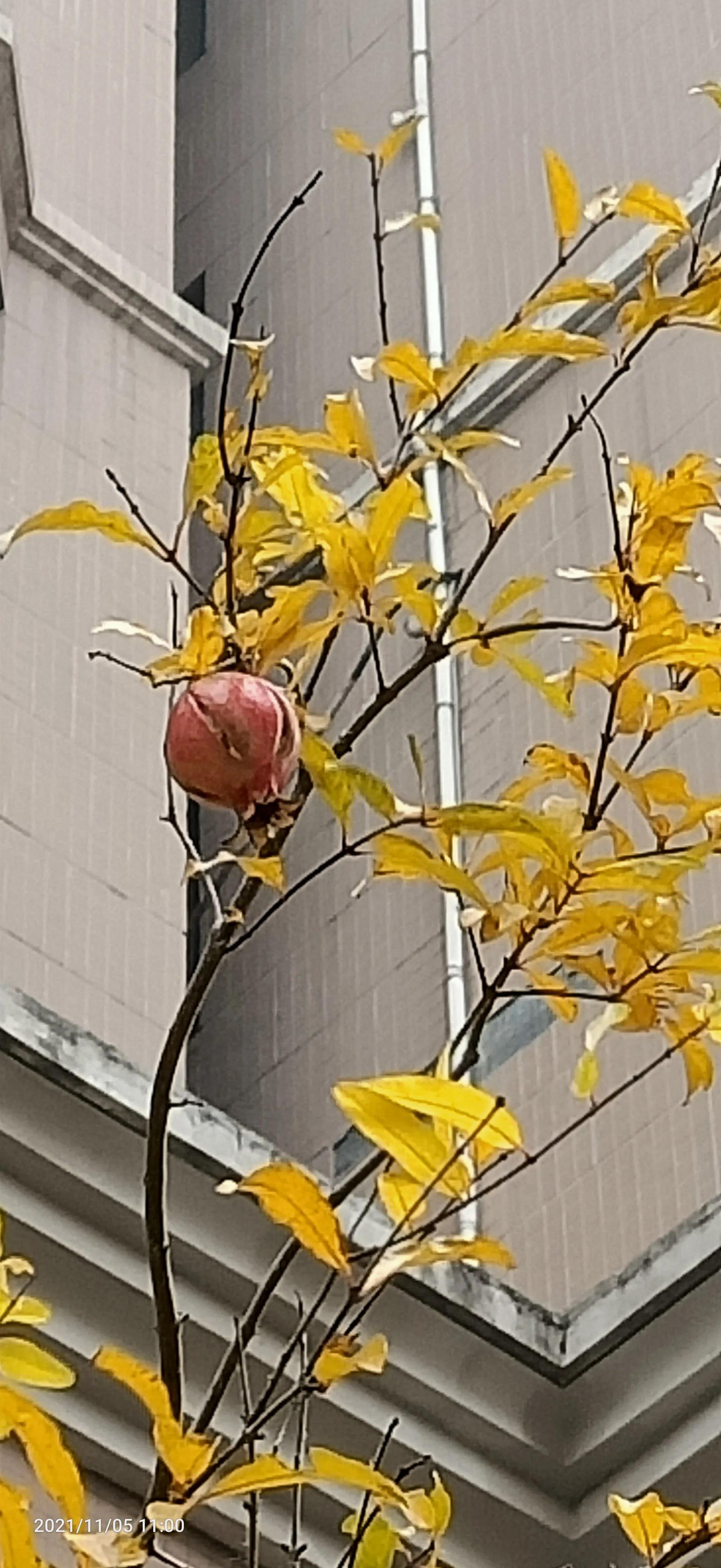 达则兼济天下穷则独善其身,达则兼济天下穷则独善其身素材