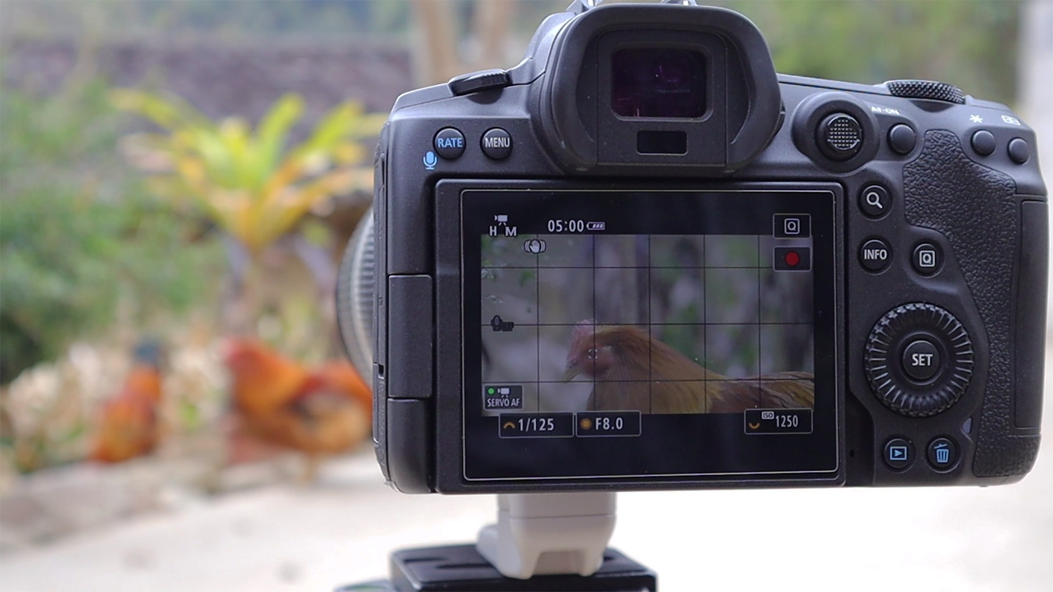 r5佳能24-70f2.8套机,佳能r5无反之战评测