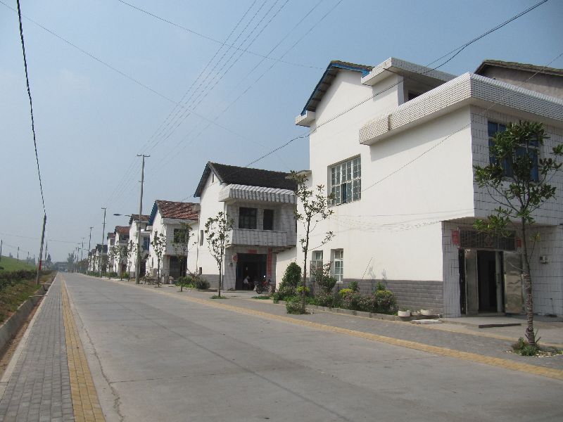 五个生意在农村悄然走红,在家待业的的农民,不妨试一试