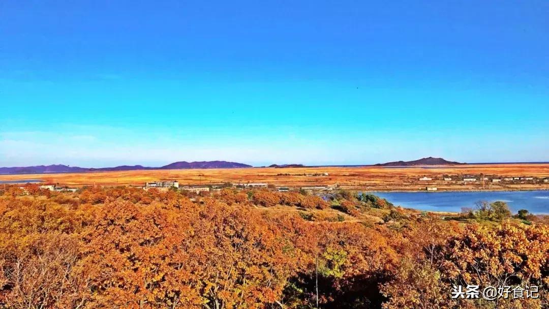 在延边呆了五天期间吃过的美食,至今想来,仍口水生津