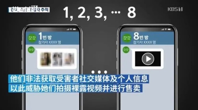 看完N号房和《金智英》,韩国这26万男人真是*兽禽**不如