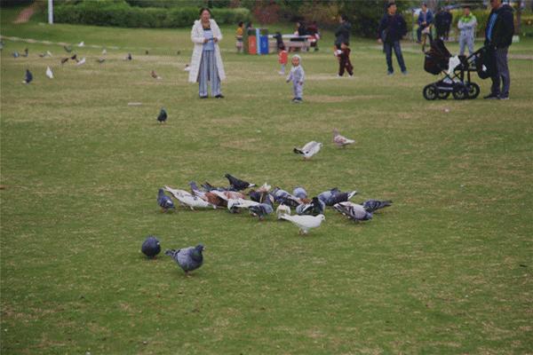 厦门什么地方吹海风吃着美食,厦门必吃海鲜吹海风