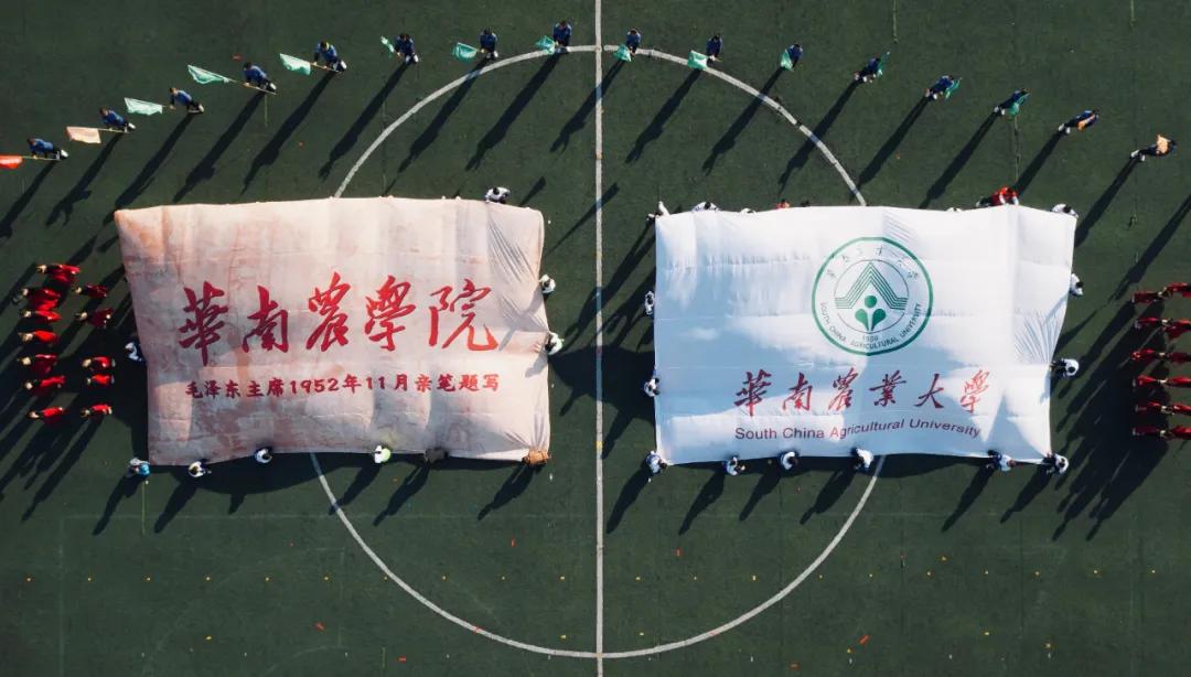 报考华南农业大学,华农报录比