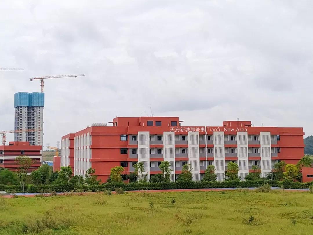 天府新区三大教育集团,天府新区五大教育集团