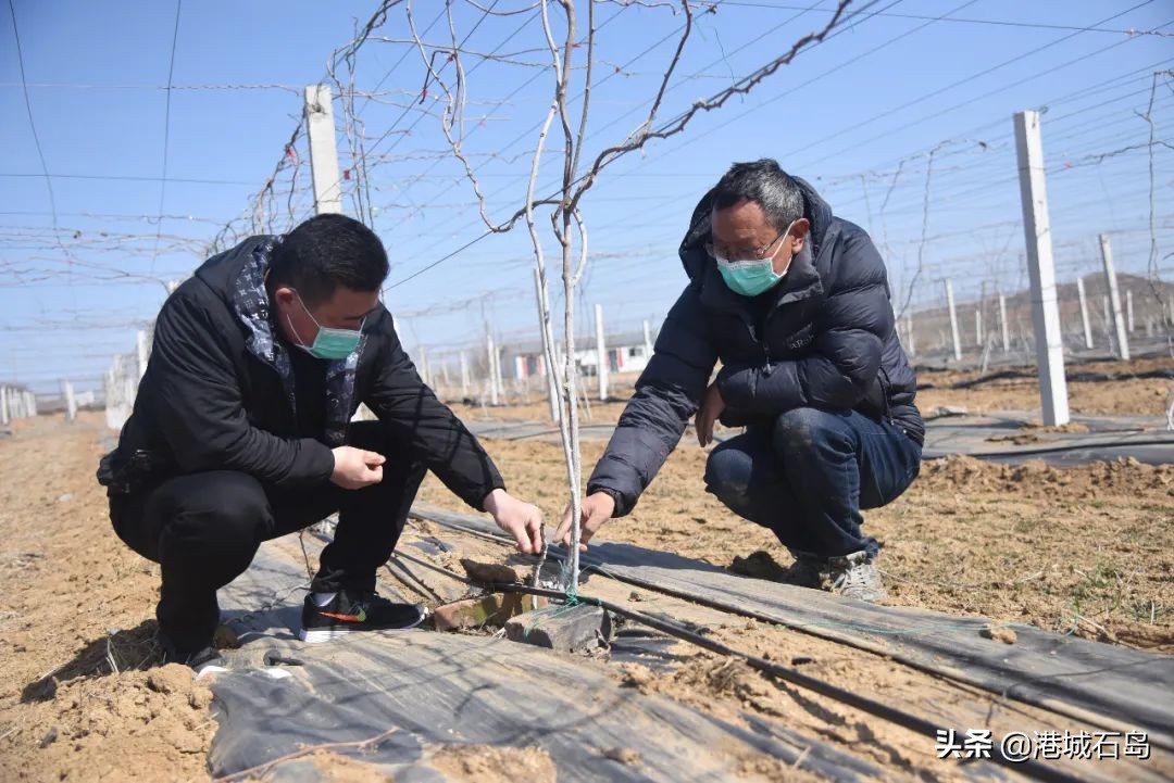 石岛即将开发的项目,石岛的项目