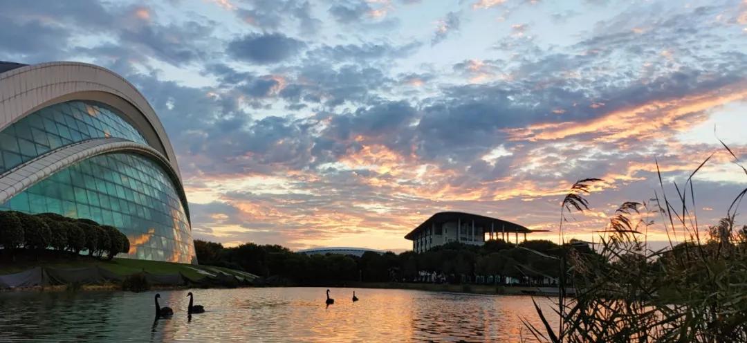 上海视觉艺术学院今年录取分数线,上海视觉艺术学院录取分数线2024