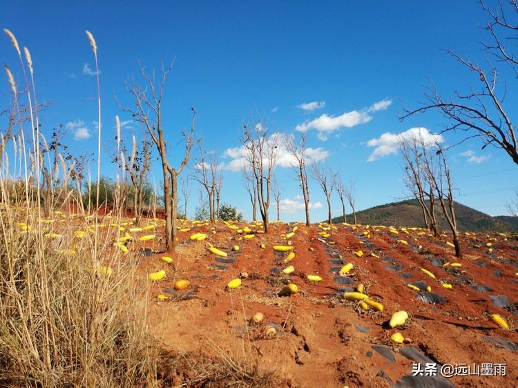 冬日阳光明媚，随走昆明松茂水库周边，遇见小村庄里的老式手工活