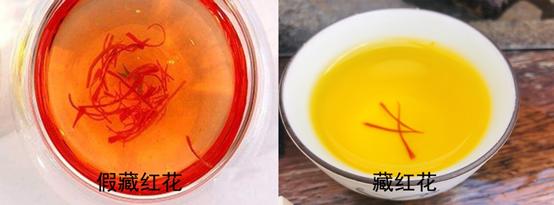 真假藏红花泡水图片,如何辨别藏红花真假