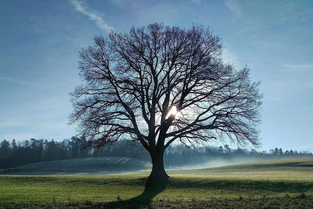 适合老人的音乐相册,适合90岁老人的音乐相册