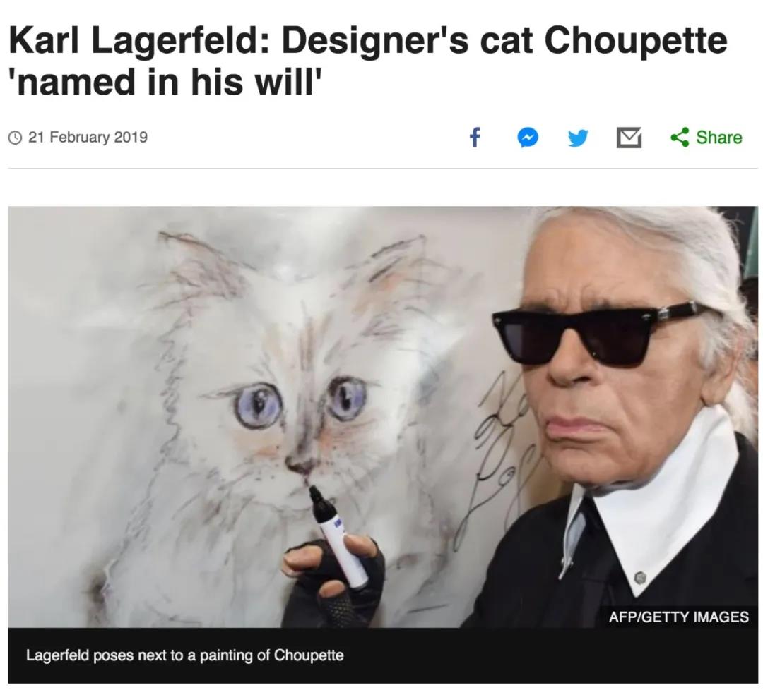 晚清末年，人们认为猫毛蓄电可以治病