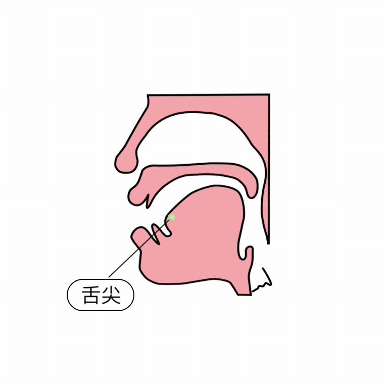 拼音里面的前鼻音和后鼻音有哪些,拼音字母前鼻音字母和后鼻音字母