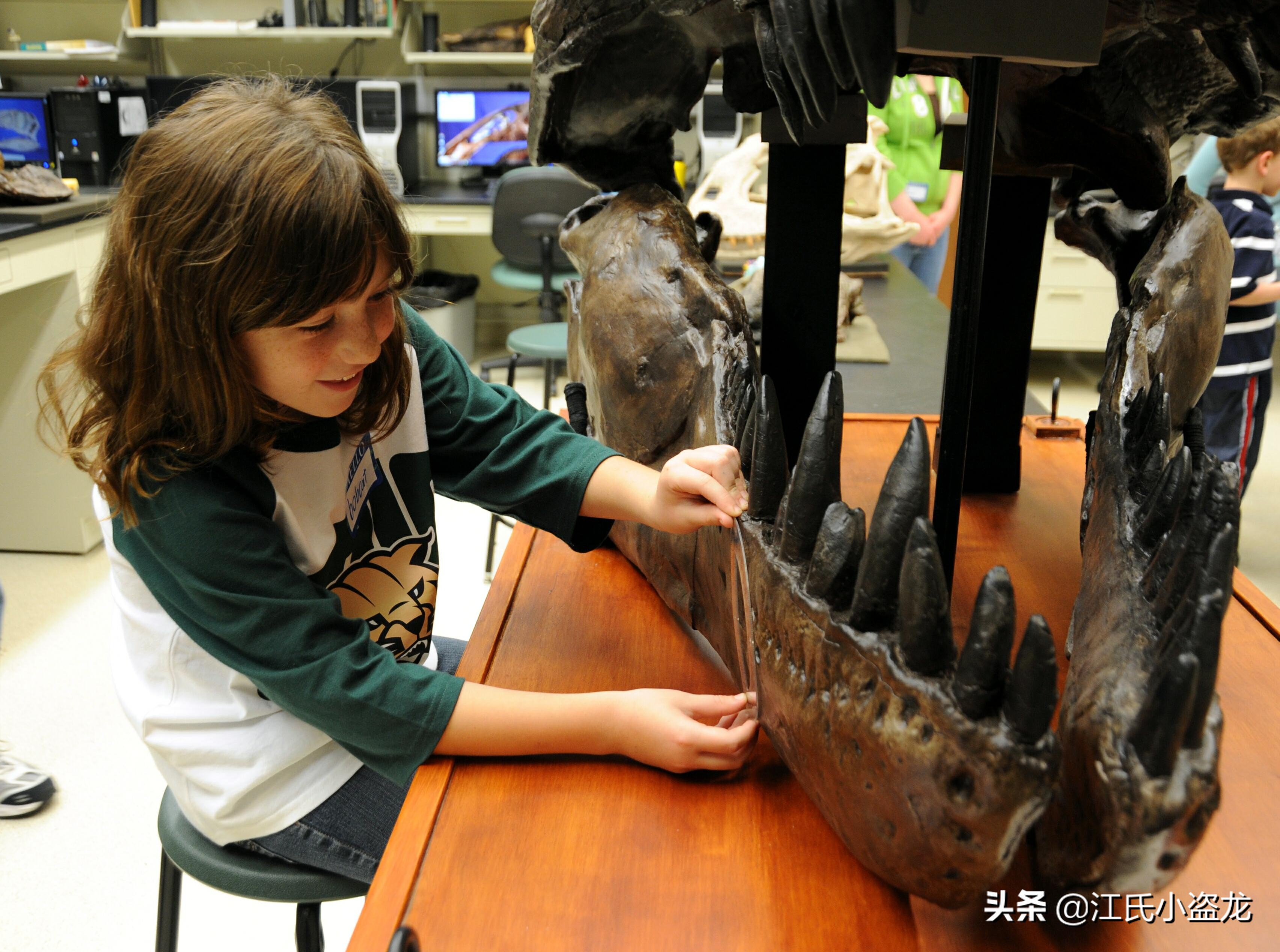 霸王龙在各时段的演化,霸王龙多大的时候可以独立