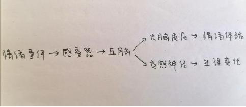 怎样提高背知识点的记忆力,如何利用记忆规律提高记忆效果