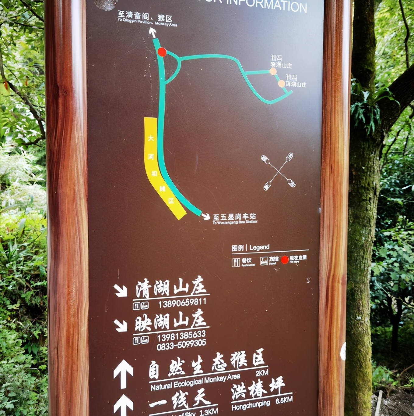 深秋峨眉风光好——「清音阁/金顶/红珠山温泉」三日行