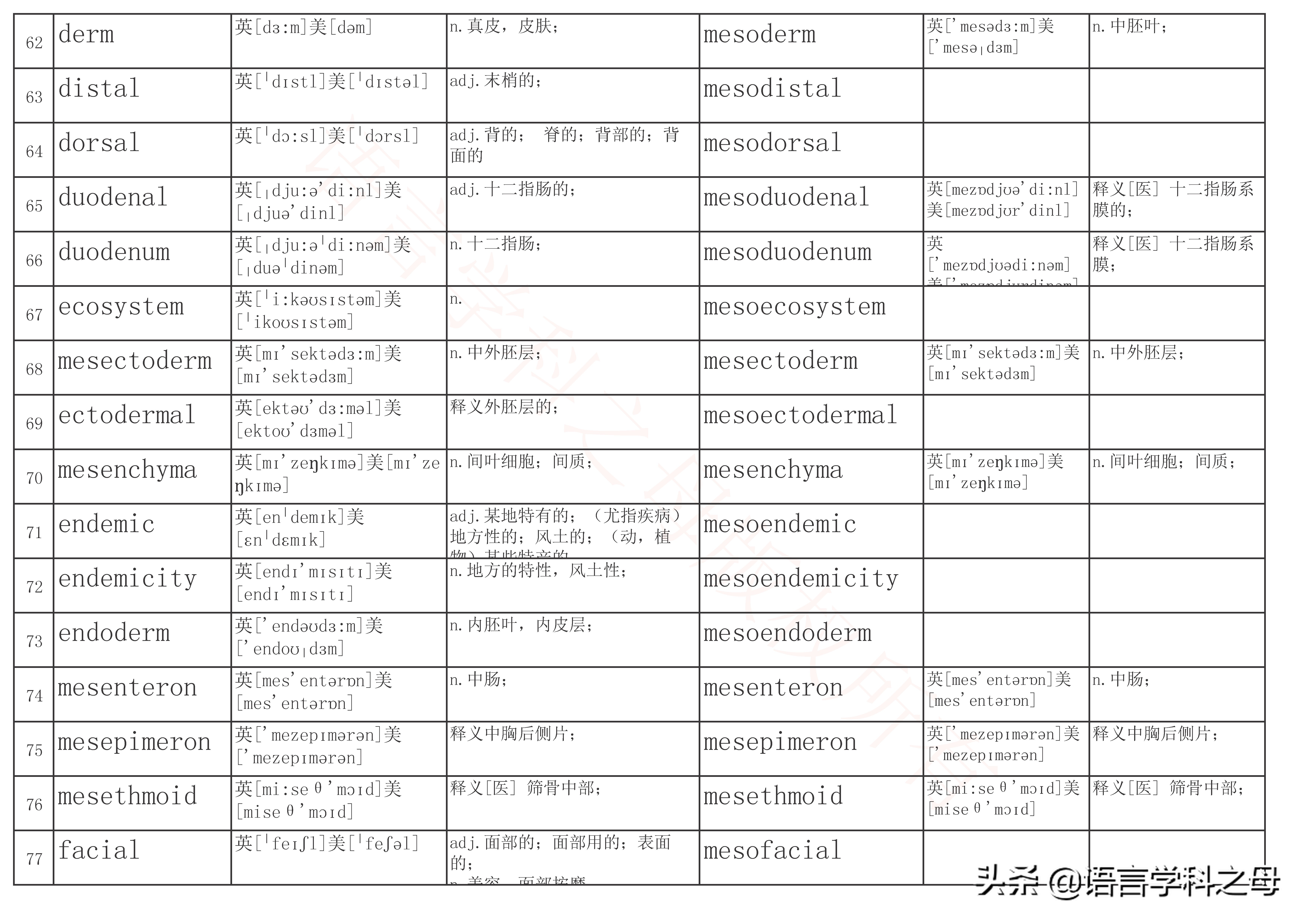mid为前缀常见的单词,mid为前缀的单词有哪些