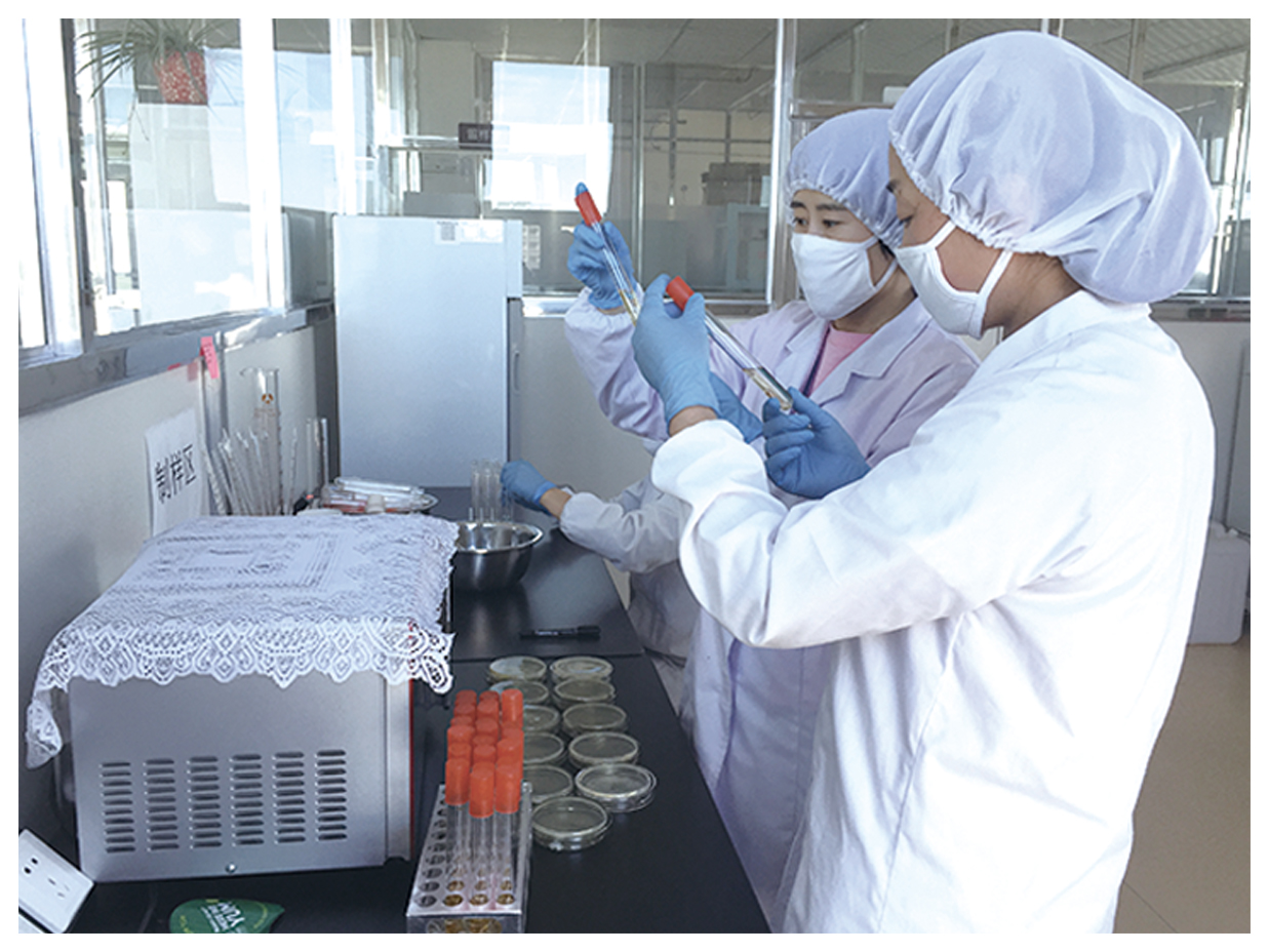 谷色谷香养生食品,谷色谷香食品怎么样